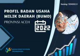 Profil Badan Usaha Milik Daerah (BUMD) Provinsi Aceh 2022