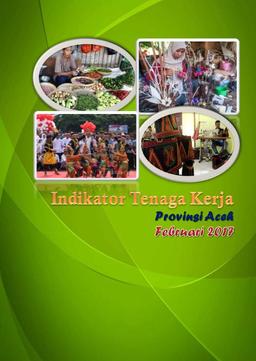 Indikator Tenaga Kerja Provinsi Aceh Februari 2017