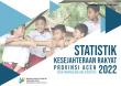 Statistik Kesejahteraan Rakyat Provinsi Aceh 2022