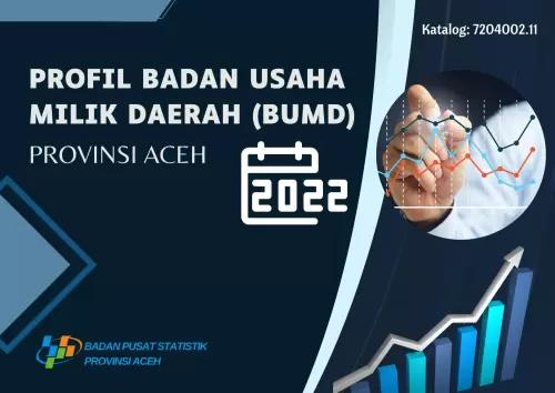 Profile of Regional-Owned Enterprises (BUMD) of Aceh Province 2022