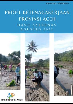 Profil Ketenagakerjaan Provinsi Aceh Hasil Sakernas Agustus 2022